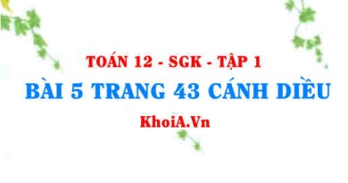 Bài 5 trang 43 Toán 12 tập 1 Cánh Diều